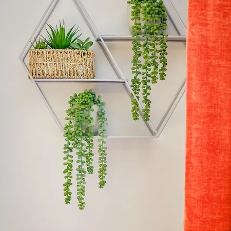 Apartamento Free Parking New Gem With Garden Bristol