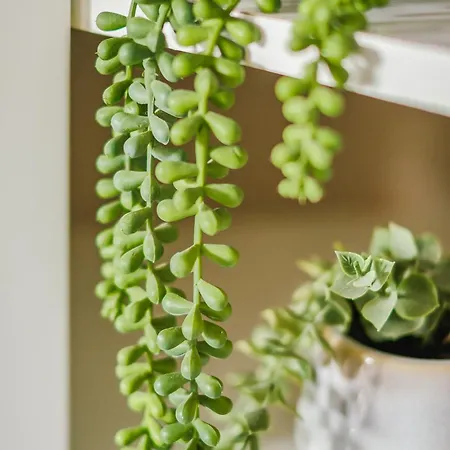 Apartamento Free Parking New Gem With Garden Bristol