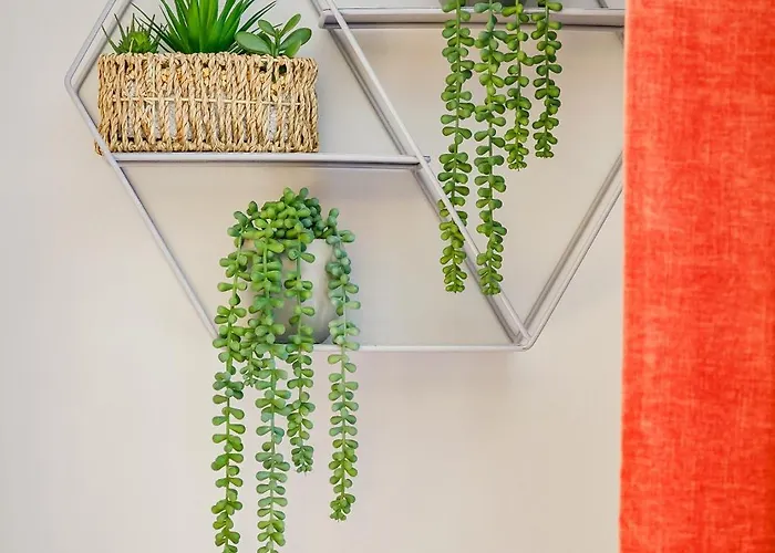 Appartement Free Parking New Gem With Garden Bristol