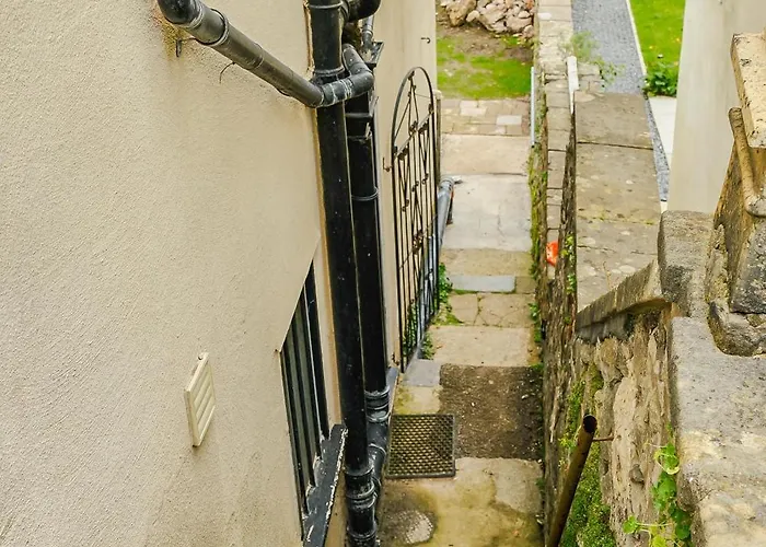 Free Parking New Gem With Garden