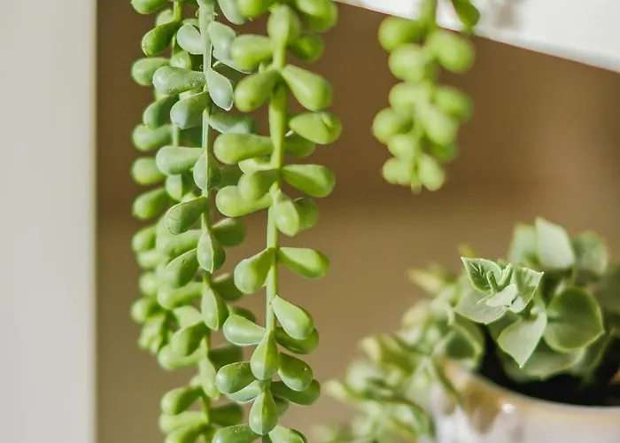 Appartement Free Parking New Gem With Garden Bristol